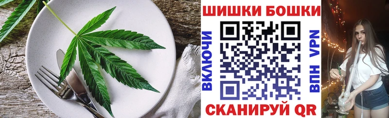 где купить наркоту  Берёзовка  Cannafood конопля 