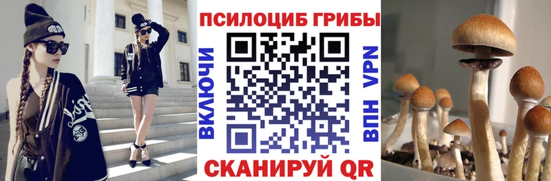 ОМГ ОМГ сайт  Берёзовка  Галлюциногенные грибы мухоморы 
