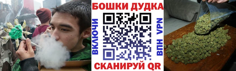 Бошки Шишки план  дарнет шоп  KRAKEN ССЫЛКА  Берёзовка 